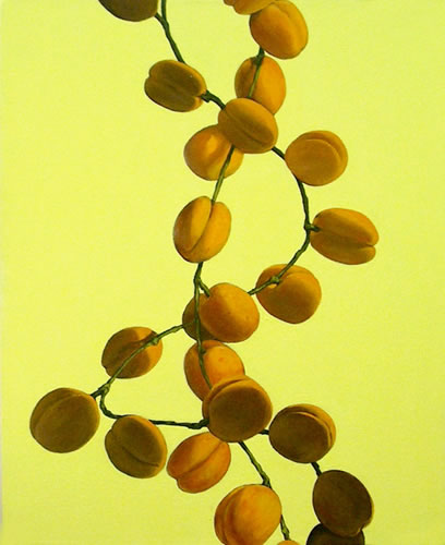 Still Life with Apricot